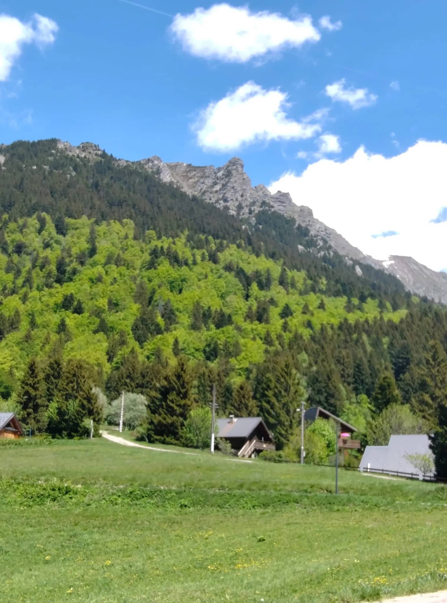 Panorama sur les montagnes et les chalets de l'Alpe du Grand Serre en été